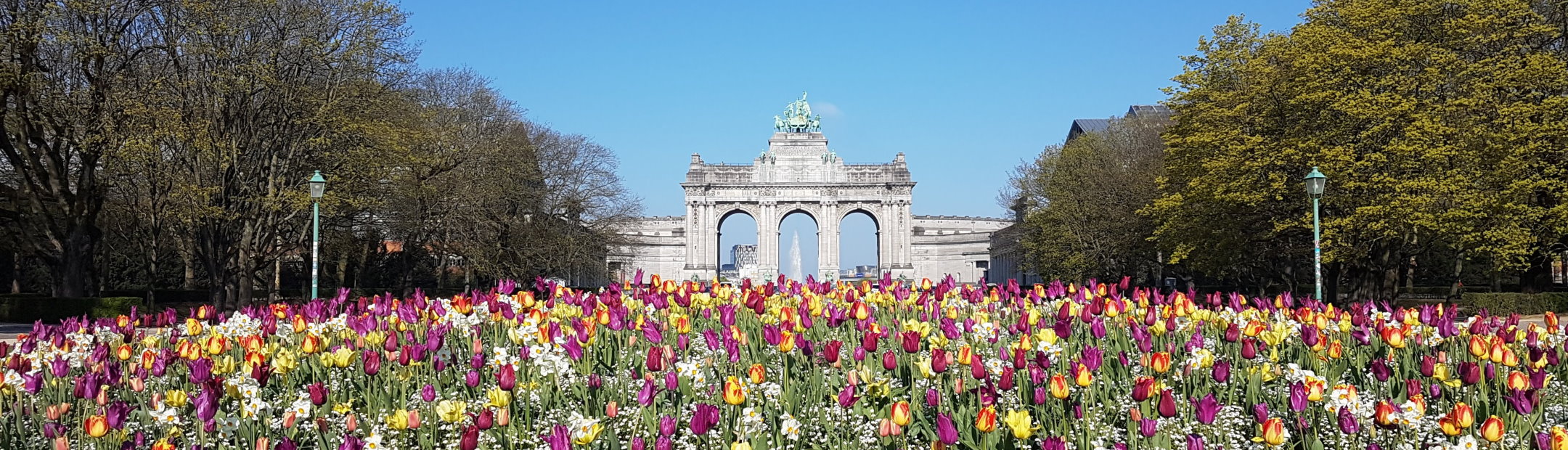 Cinquantenaire